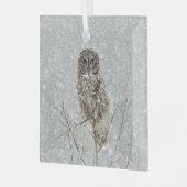 Grote Grijze Uil in de Winter Glas Ornament (Voorkant links)