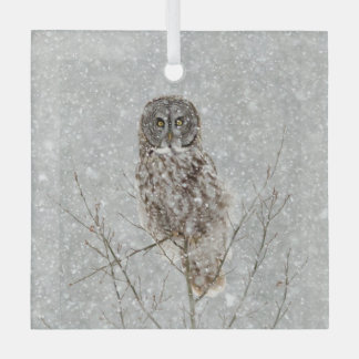 Grote Grijze Uil in de Winter Glas Ornament
