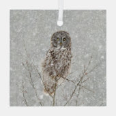 Grote Grijze Uil in de Winter Glas Ornament (Achterkant)