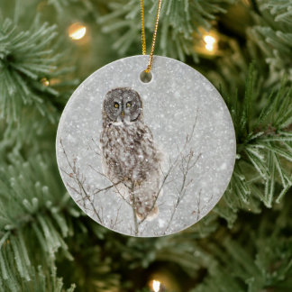 Grote Grijze Uil in de Winter Keramisch Ornament