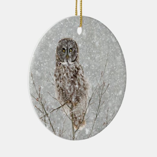 Grote Grijze Uil in de Winter Keramisch Ornament (Rechts)