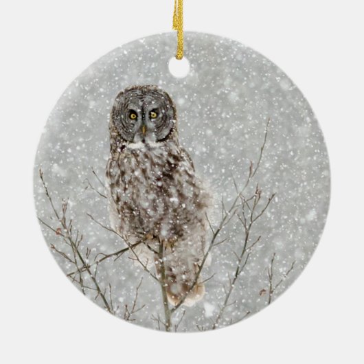 Grote Grijze Uil in de Winter Keramisch Ornament (Achterkant)