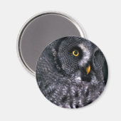 Grote grijze uil magneet (Voorkant / Achterkant)