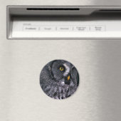 Grote grijze uil magneet (Insitu (Vaatwasser))
