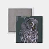 Grote grijze uil magneet (Voorkant / Achterkant)