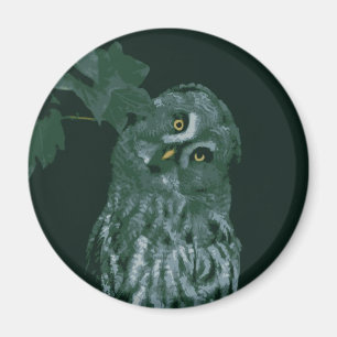 Grote grijze uil magneet