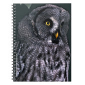 Grote grijze uil notitieboek (Voorkant)