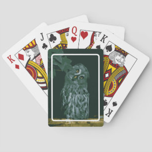 Grote Grijze Uil Pokerkaarten