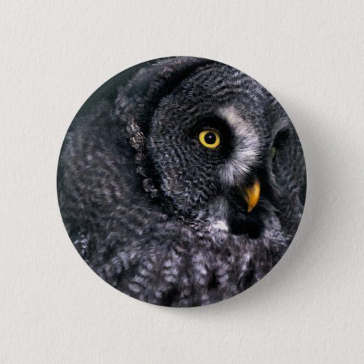 Grote grijze uil ronde button 5,7 cm (Voorkant)