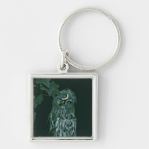 Grote grijze uil sleutelhanger