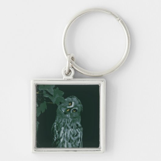 Grote grijze uil sleutelhanger (Voorkant)