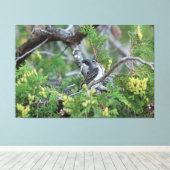 Grote grijze vogelcanvas canvas afdruk (Insitu (Houten vloer))