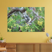 Grote grijze vogelcanvas canvas afdruk (Insitu (Woonkamer))