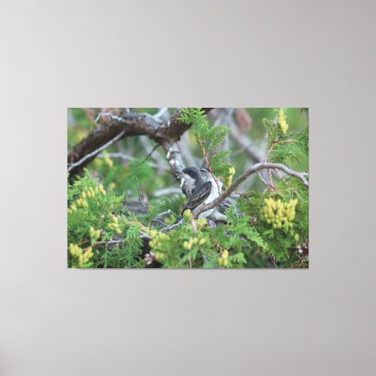 Grote grijze vogelcanvas canvas afdruk (Voorkant)