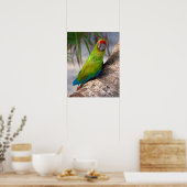 Grote groene ara op een boom poster (Keuken)