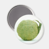 Grote Groene Hedgeapple Magneet (Voorkant / Achterkant)