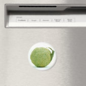 Grote Groene Hedgeapple Magneet (Insitu (Vaatwasser))