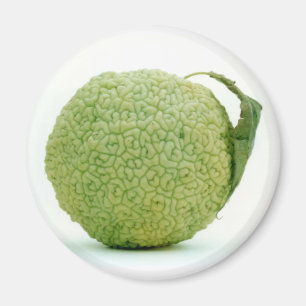Grote Groene Hedgeapple Magneet