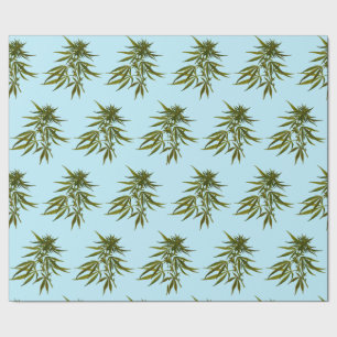 Grote groene knoppen op Sky Blue Background Cadeaupapier