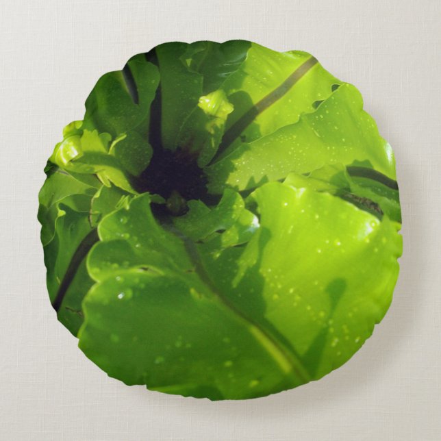 Grote groene varenbladeren, rond kussen (Voorkant)