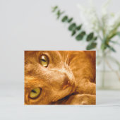 Grote Groenen Briefkaart (Staand voorkant)