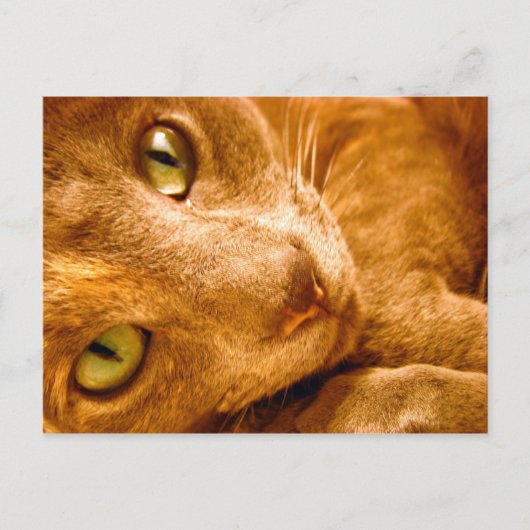 Grote Groenen Briefkaart (Voorkant)