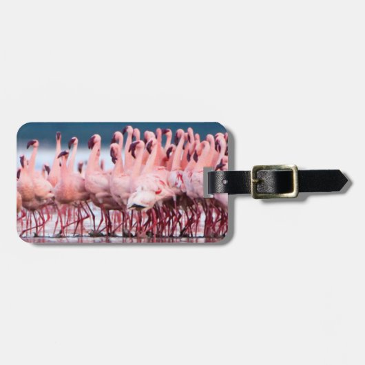 Grote groep kleine flamingo's bagagelabel (Voorkant horizontaal)