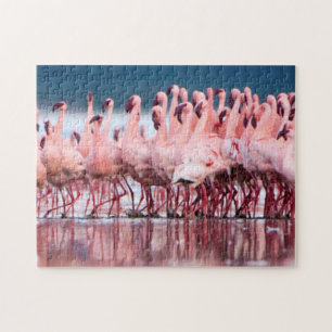 Grote groep kleine flamingo's legpuzzel