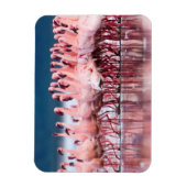 Grote groep kleine flamingo's magneet (Verticaal)