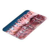 Grote groep kleine flamingo's magneet (Linkerzijde)