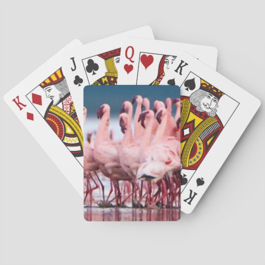 Grote groep kleine flamingo's pokerkaarten (Achterkant)