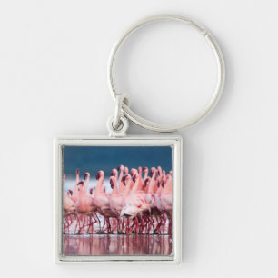 Grote groep kleine flamingo's sleutelhanger