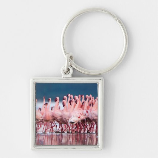 Grote groep kleine flamingo's sleutelhanger (Voorkant)