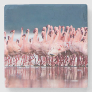 Grote groep kleine flamingo's stenen onderzetter