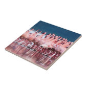 Grote groep kleine flamingo's tegeltje (Zijkant)