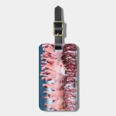 Grote groep van kleine lamingos bagagelabel (Voorkant verticaal)