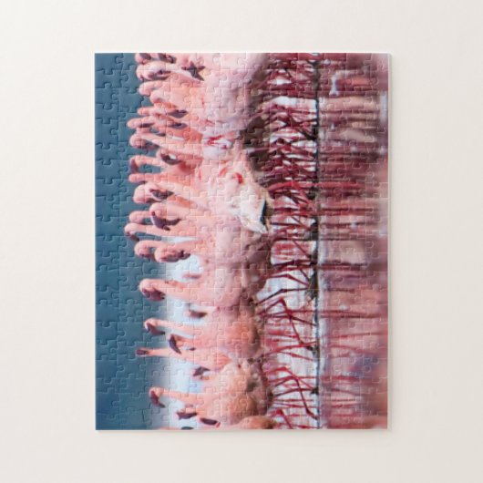 Grote groep van kleine lamingos legpuzzel (Verticaal)