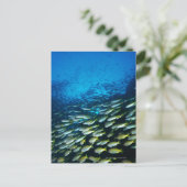 Grote groep van vissen van de soort Bigeye Snapper Briefkaart (Staand voorkant)