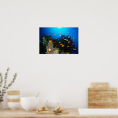 Grote groep Zee Goldie zwemt Poster (Keuken)