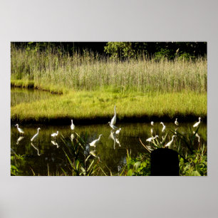 Grote groeten in de moeras poster