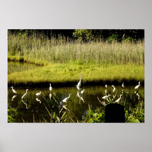 Grote groeten in de moeras poster (Voorkant)
