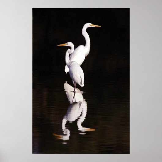 Grote groeten poster (Voorkant)