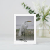 Grote grot briefkaart (Staand voorkant)