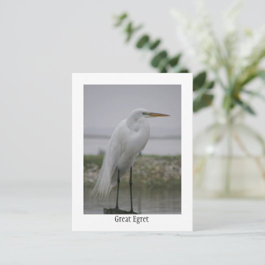 Grote grot briefkaart (Staand voorkant)