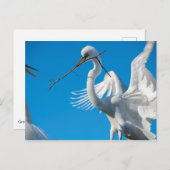 Grote grot briefkaart (Voorkant / Achterkant)