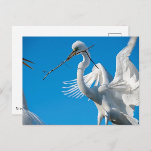 Grote grot briefkaart (Voorkant / Achterkant)