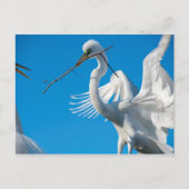 Grote grot briefkaart (Voorkant)