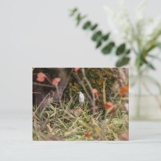 Grote grot briefkaart (Staand voorkant)