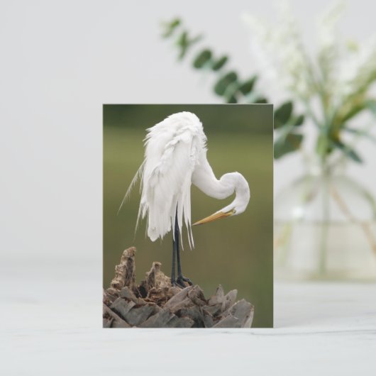 Grote grot briefkaart (Staand voorkant)