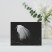 Grote grot briefkaart (Staand voorkant)